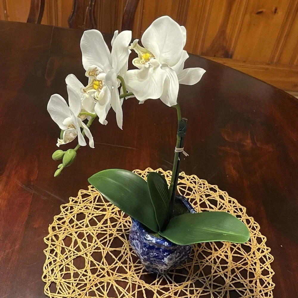 Faux White Phalaenopsis Orchid‎ Silk Plant Blue ,Real Touch